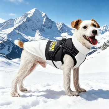 New Arrival Graphene Thermal Autumn/Winter Dog Coat