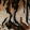 Tiger Print 