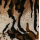 Tiger Print