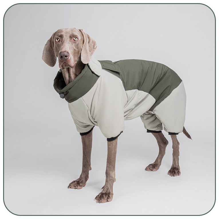 Outdoor Windproof Waterproof Thickened Cotton Dog Coat
