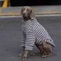 Warm Fleece and thermal Sweatshirt for Medium and large-sized dogs