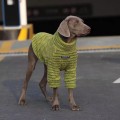 Warm Fleece and thermal Sweatshirt for Medium and large-sized dogs
