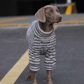 Warm Fleece and thermal Sweatshirt for Medium and large-sized dogs