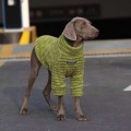 中大型犬秋冬暖绒保暖条纹卫衣