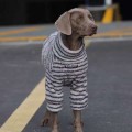 中大型犬秋冬暖绒保暖条纹卫衣