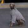 中大型犬秋冬暖绒保暖条纹卫衣