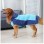 Waterproof Dog Jacket