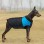 Thickened Cold Weather Jackets for Dogs
