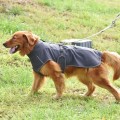 Outdoor Reflective  vest for Large Dogs