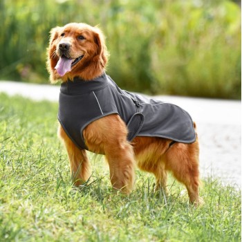 Outdoor Reflective  vest for Large Dogs