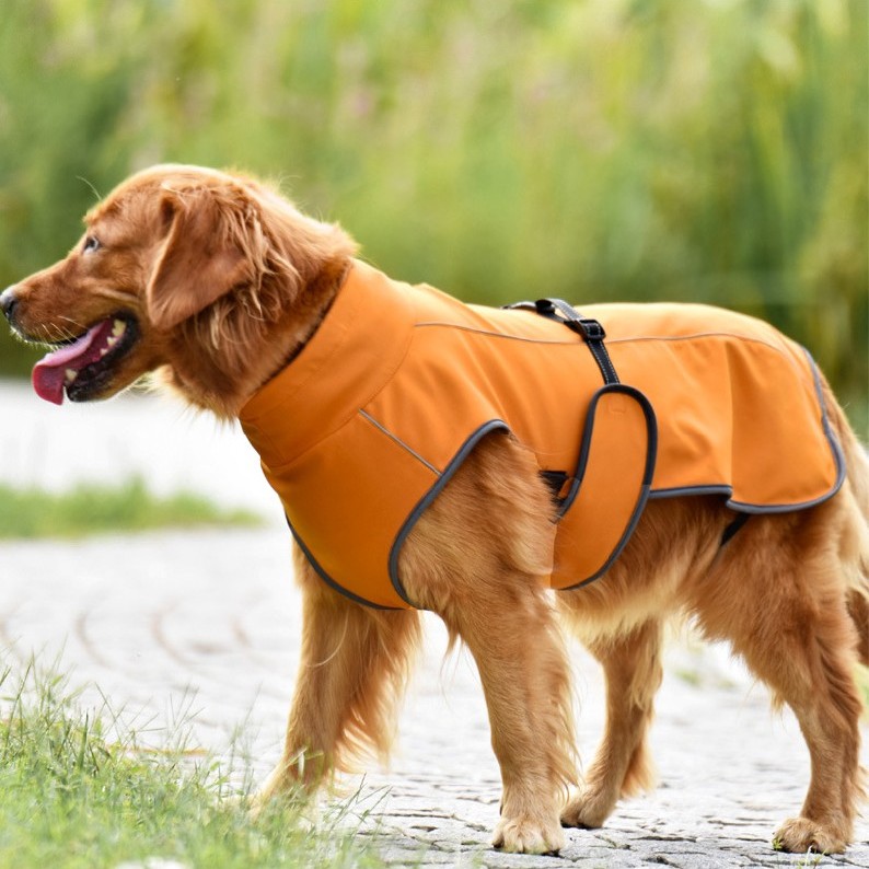 Outdoor Reflective  vest for Large Dogs