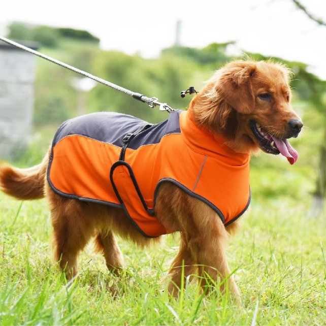 Outdoor Reflective  vest for Large Dogs