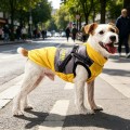New Arrival Graphene Thermal Autumn/Winter Dog Coat
