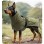 Outdoor Waterproof Rainproof All-Weather Jacket for Medium to Large Dogs