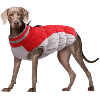 Extra Thick Fleece-Lined Dog Padded Coat