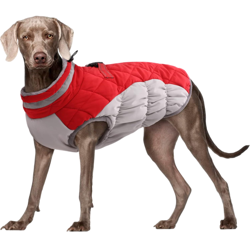 Extra Thick Fleece-Lined Dog Padded Coat