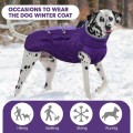 Waterproof Windproof Winter  Coat for  Dogs