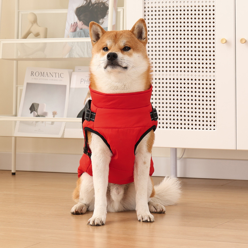 Winter zipper-style cotton jacket for dogs