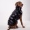Winter Windproof Down Coat for Dogs