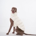 Winter Windproof Down Coat for Dogs