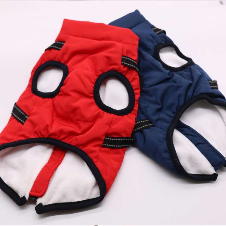 Winter zipper-style cotton jacket for dogs