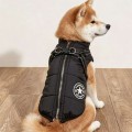 Winter zipper-style cotton jacket for dogs