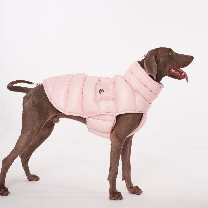 Winter Windproof Down Coat for Dogs