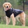 Warm and reflectIve woolen collar cotton-padded jacket for large dogs
