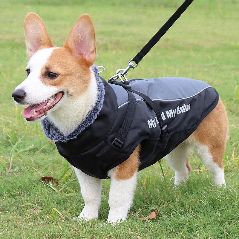 Warm and reflectIve woolen collar cotton-padded jacket for large dogs