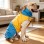 Waterproof Thermal Reflective Colorblock Dog Coat