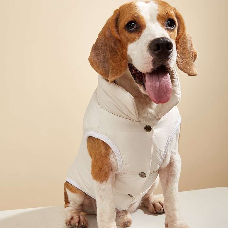 New winter solid button vest coat for small-medium dogs