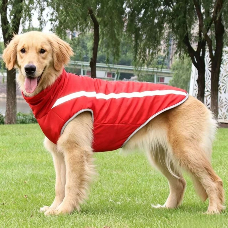 Winter padded reflective dog coat for large outdoor dogs