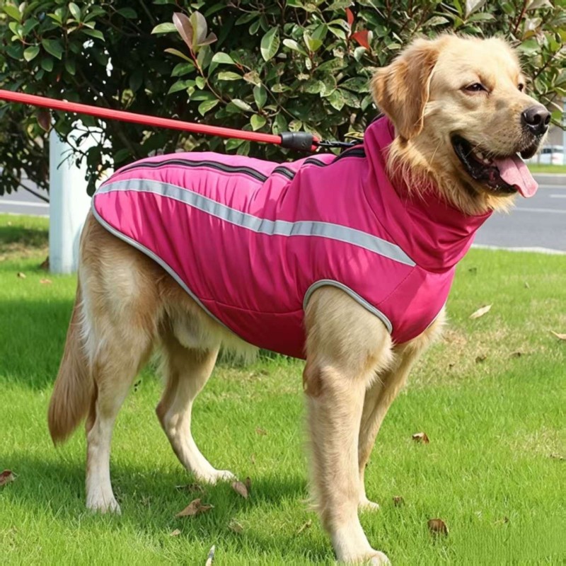 Winter padded reflective dog coat for large outdoor dogs