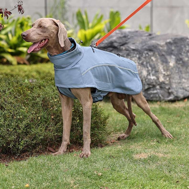 Waterproof Softshell Winter Dog Jacket