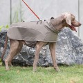 Waterproof Softshell Winter Dog Jacket