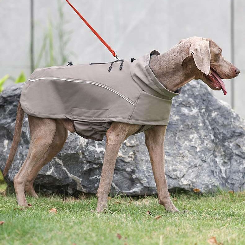 Waterproof Softshell Winter Dog Jacket