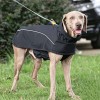 Waterproof Softshell Winter Dog Jacket