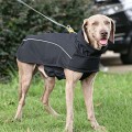 Waterproof Softshell Winter Dog Jacket