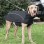 Waterproof Softshell Winter Dog Jacket