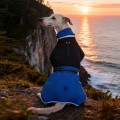 Waterproof Reflective Fleece Lined Dog Winter Coat – Warm Puffer Vest Jacket for Cold Weather