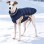 Waterproof Windproof Reflective Dog Winter Coat – Thick Padded Warm Jacket for Cold Weather