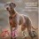 Reflective No-Pull Harness for Large Dogs with Dual Leash Rings