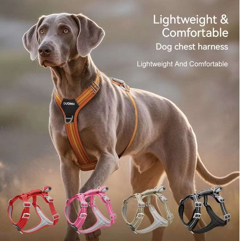 Reflective No-Pull Harness for Large Dogs with Dual Leash Rings