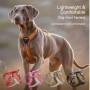 Reflective No-Pull Harness for Large Dogs with Dual Leash Rings