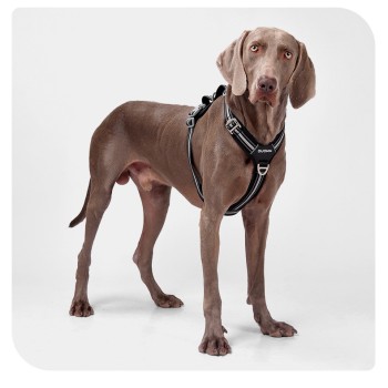 Reflective No-Pull Harness for Large Dogs with Dual Leash Rings