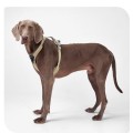 Reflective No-Pull Harness for Large Dogs with Dual Leash Rings