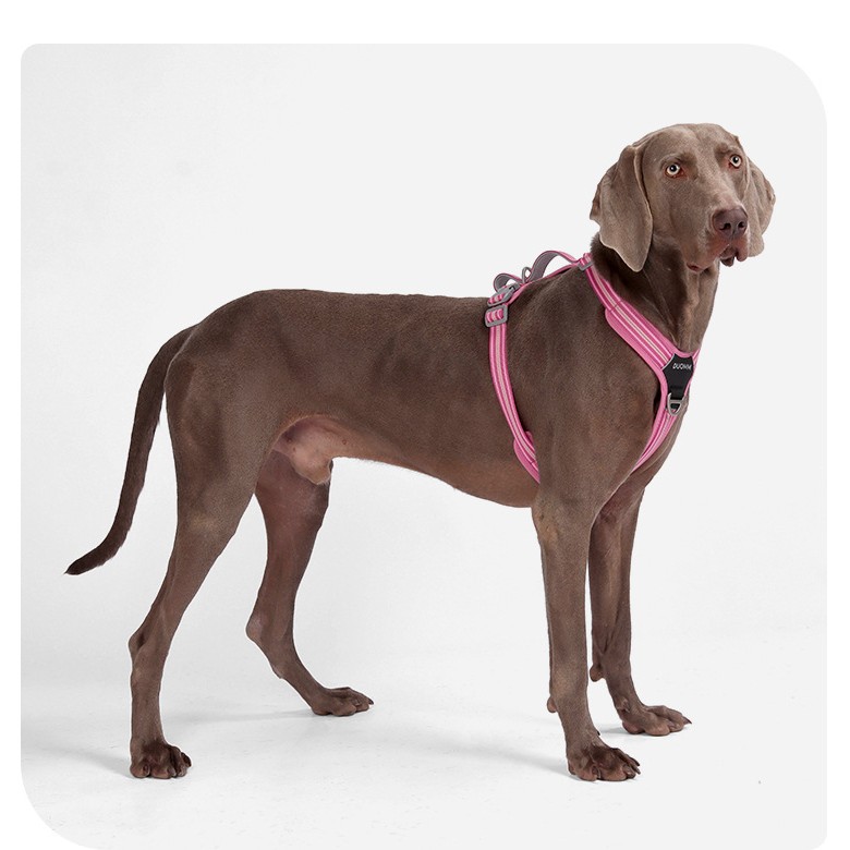 Reflective No-Pull Harness for Large Dogs with Dual Leash Rings