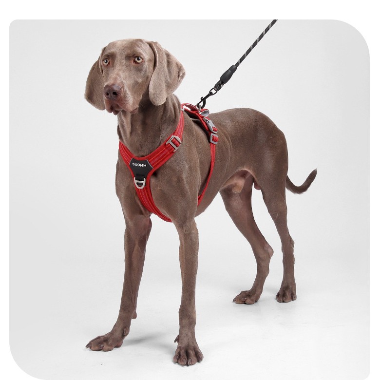 Reflective No-Pull Harness for Large Dogs with Dual Leash Rings