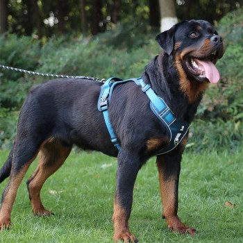 No-Pull Wear-Resistant Bite-Proof Harness for Large Dogs