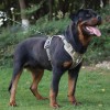 No-Pull Wear-Resistant Bite-Proof Harness for Large Dogs